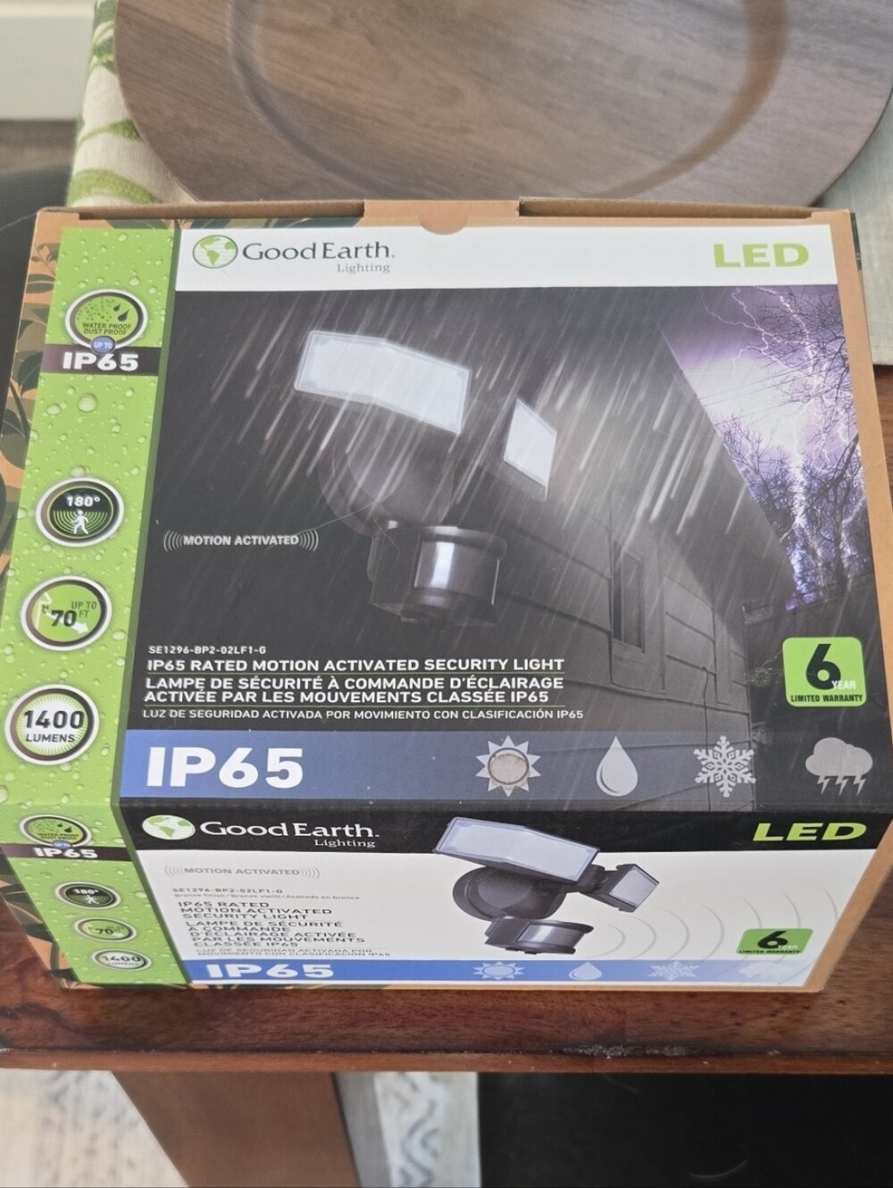 LED Motion-Activated Security Light in Black